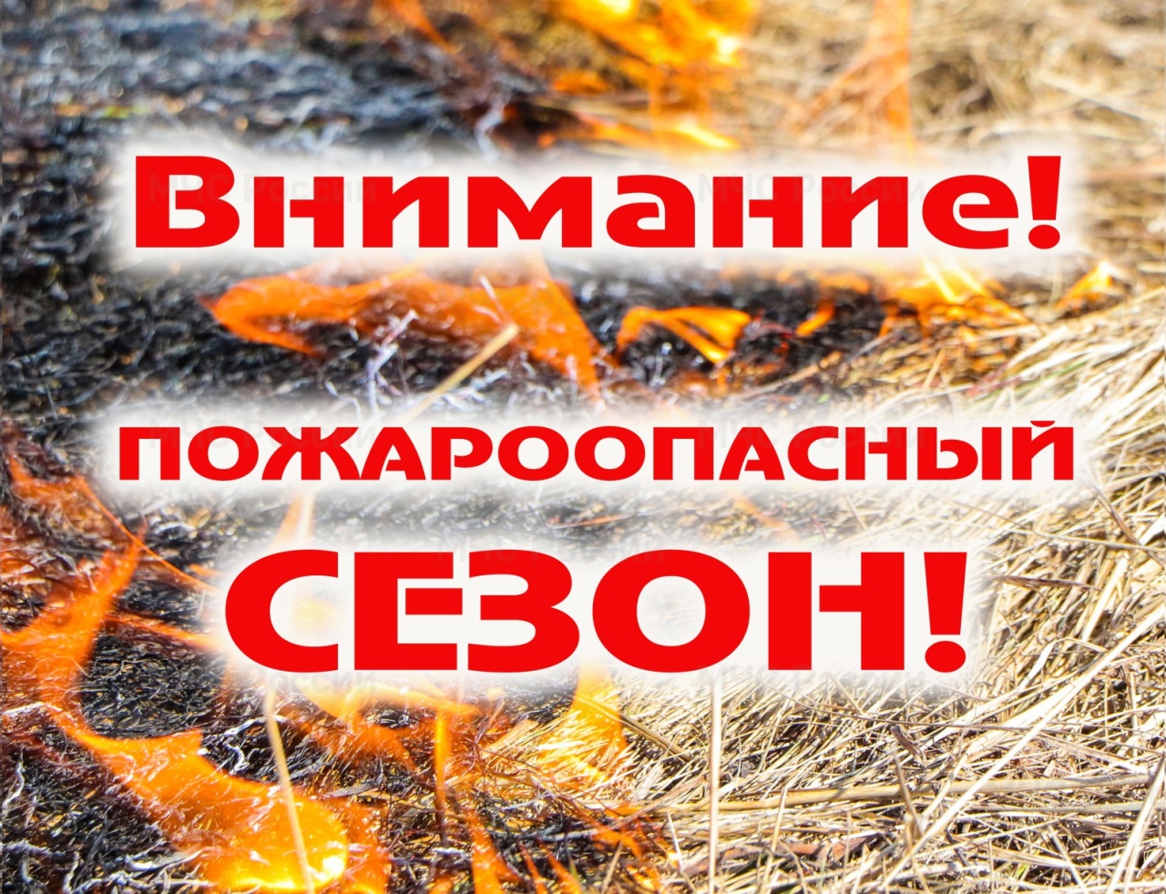 Штормовое предупреждение.